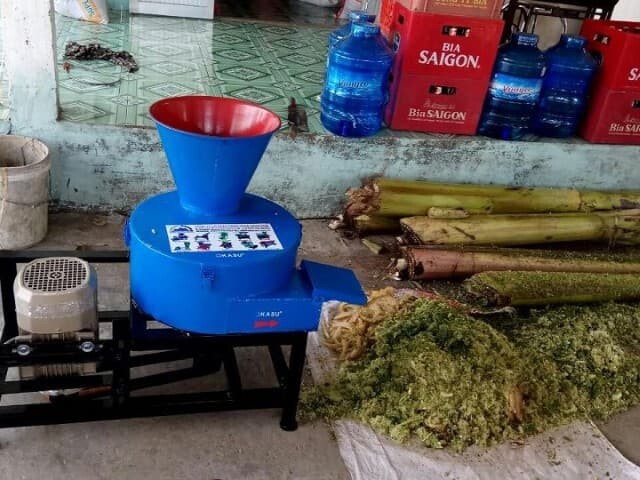 Cần lưu ý gì trong quá trình sử dụng thân chuối băm cho gà ăn 