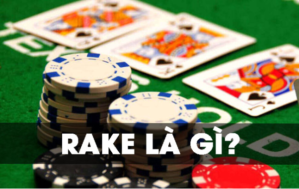Rake là gì trong poker?