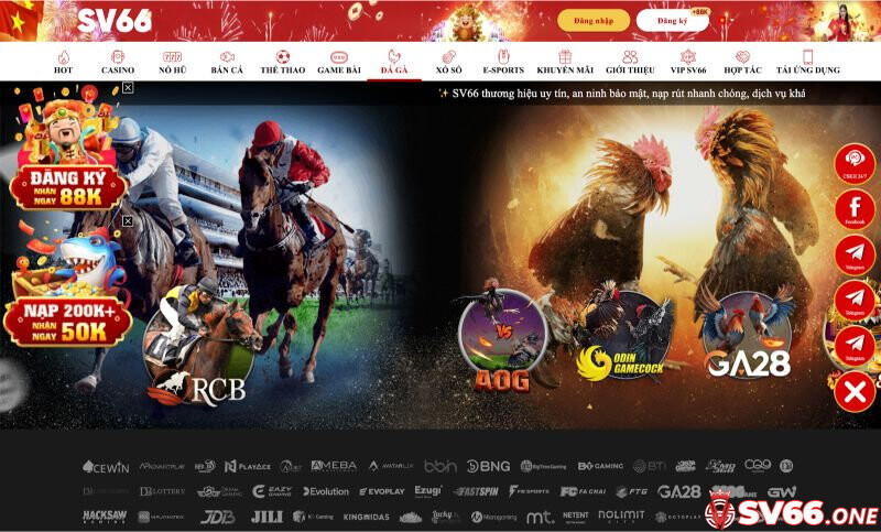 SV66 | SV66.COM | Trang Chủ Chính Thức 2026 13 Đá gà SV66 với nhiều sảnh đấu đặc sắc